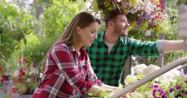 Coworking muž a žena s květinami - Záběry, video