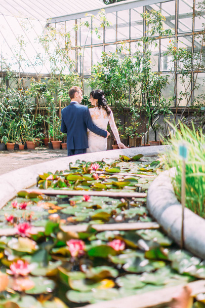 The back view of the walking newlywed couple in the botanic garden. The view of the fountain with water lilies. - Zdjęcie, obraz