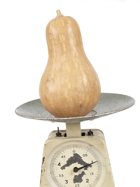 Pumpkin standing on scales - Photo, Image