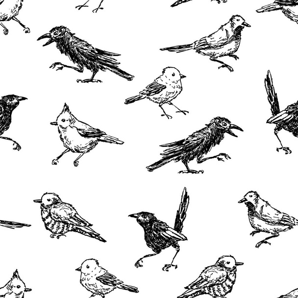 Patern of the sketches of different wild birds - Vector, Imagen
