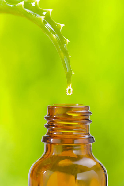 alternative medicine with herbal and homeopathic essence - Valokuva, kuva