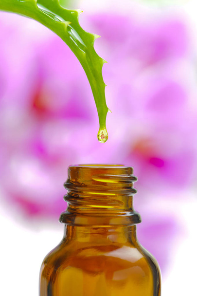 alternative medicine with herbal and homeopathic essence - Foto, Imagen