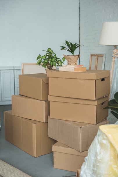close up view of cardboard boxes in room - Foto, afbeelding
