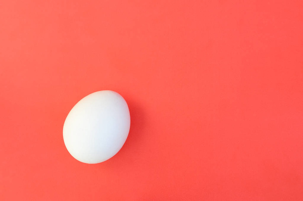 Um ovo branco em um fundo vermelho brilhante
 - Foto, Imagem