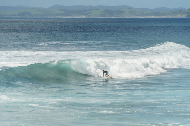 surf - Photo, image