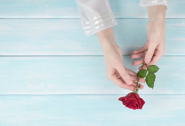 Female hands holds red rose flower - Fotografie, Obrázek