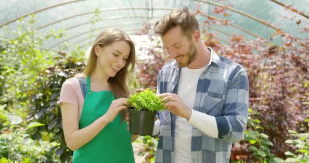 Romantic couple with green plant in hothouse - Footage, Video