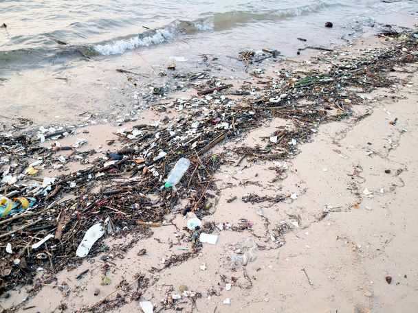 пластиковые бутылки бамбук и загрязнение отходов на пляже
 - Фото, изображение