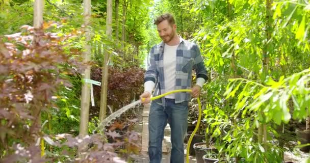 Vyrovnaný člověk postřik rostliny s vodou - Záběry, video
