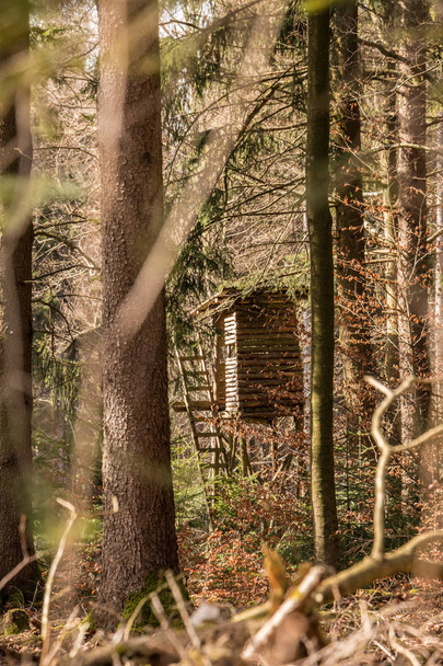 Raised hide in the middle of the forest - Photo, Image