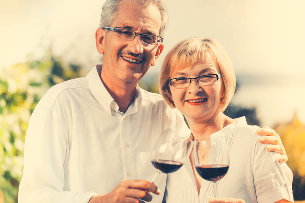 Couple sénior, homme et femme, jouissant du vin rouge en plein air, femme et homme cliquetis lunettes
 - Photo, image