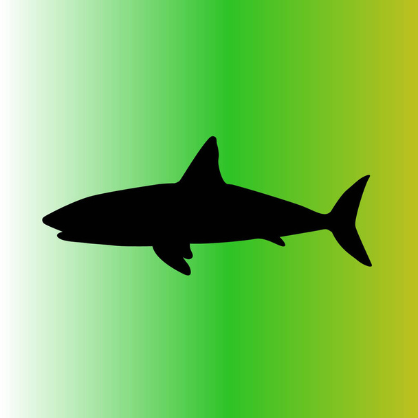 проста піктограма вектора акули
 - Вектор, зображення