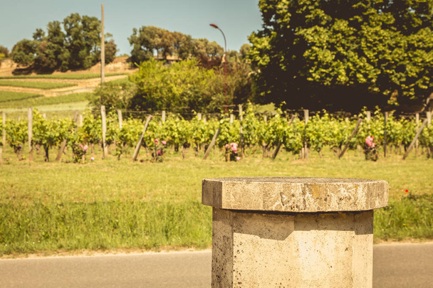 wijngaard van Saint-Emilion, Frankrijk, in de buurt van Bordeaux aan het einde van s - Foto, afbeelding