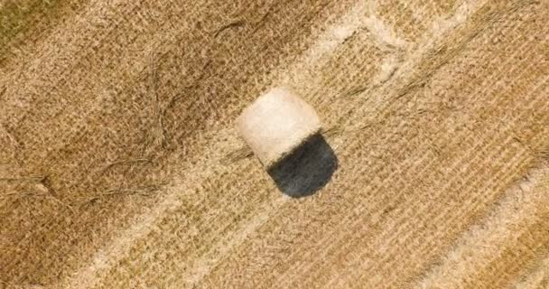 Aerial view of cropped wheat field with bales of hay in the countryside. The snapshot rotates counterclockwise - Footage, Video