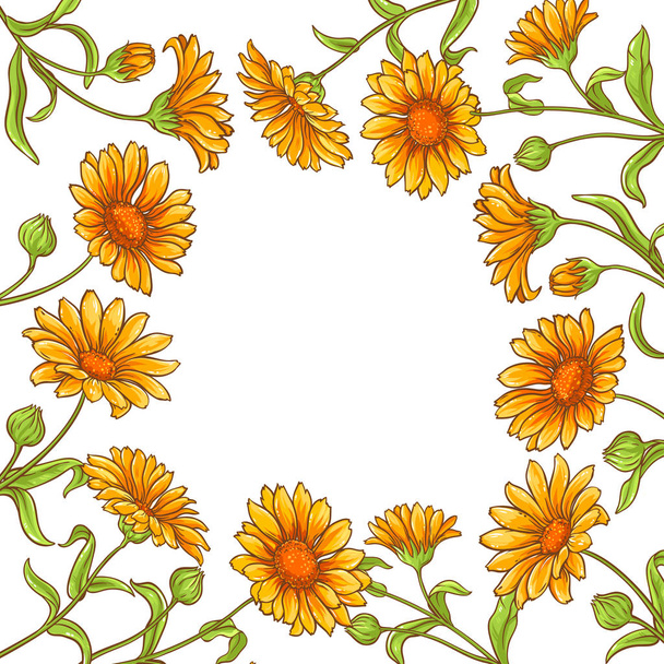 calendula  flower vector frame - Vector, Image