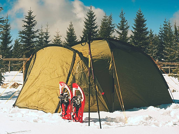 Wintercamping auf Schnee im Wald. Grünes Zelt zwischen Bäumen versteckt.  - Foto, Bild