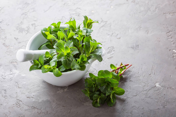 fresh mint in a white mortar on a gray background - 写真・画像