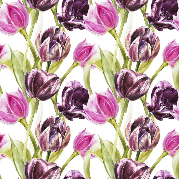 Flowers of Tulips. Watercolor hand drawn botanical illustration of flowers. Seamless pattern. - Foto, afbeelding