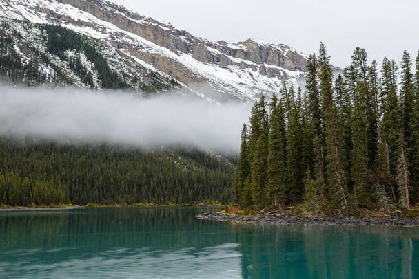 Туман и бирюзовая вода озера Малинье, Альберта, Канада
 - Фото, изображение