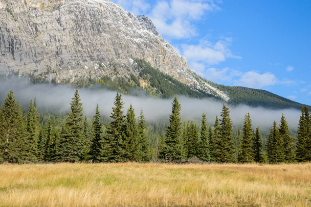 Rocallosas canadienses, cubiertas por bosque verde y niebla matutina
 - Foto, Imagen