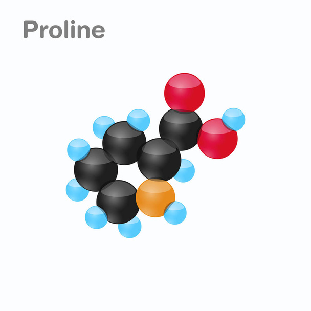 Prolin-Molekül, eine Aminosäure, die bei der Biosynthese von Proteinen verwendet wird - Vektor, Bild