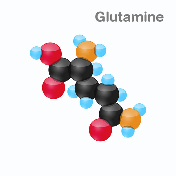 Glutamiinin molekyyli, Gln, aminohappo, jota käytetään proteiinien biosynteesissä
 - Vektori, kuva
