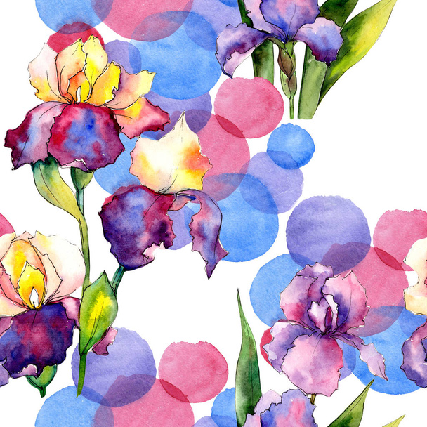 Iris colorés. Fleur botanique florale. Feuille de printemps sauvage motif de fleurs sauvages
. - Photo, image