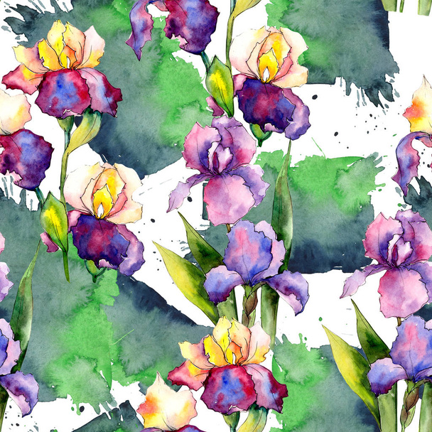Kleurrijke irissen. Floral botanische bloem. Wild voorjaar blad wildflower patroon. - Foto, afbeelding