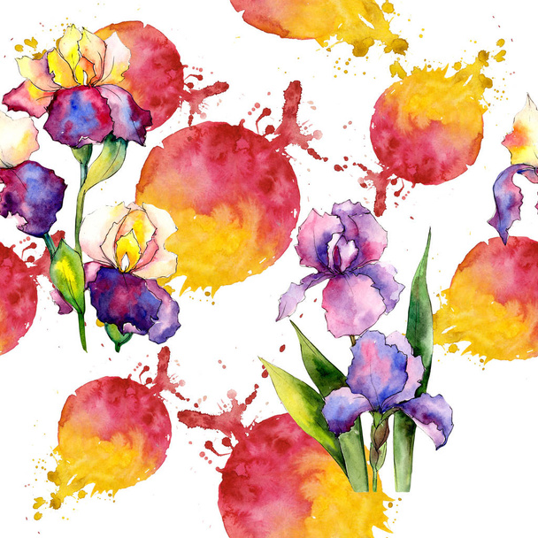Colorful irises. Floral botanical flower. Wild spring leaf wildflower pattern. - Foto, afbeelding