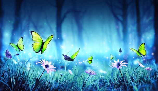 Farfalle fatate nella foresta mistica
 - Foto, immagini