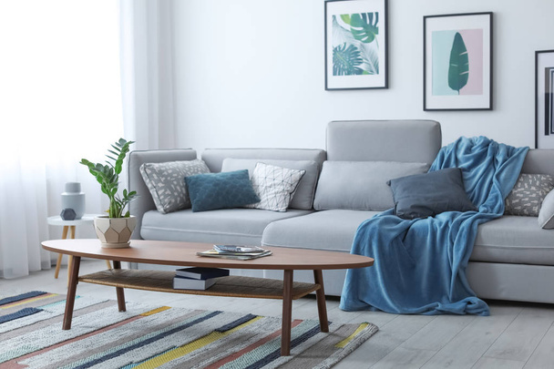 Elegant living room interior with comfortable sofa - Fotoğraf, Görsel