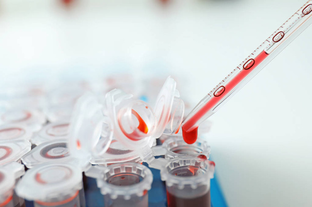 Dripping blood samples into test tubes, closeup - Fotoğraf, Görsel