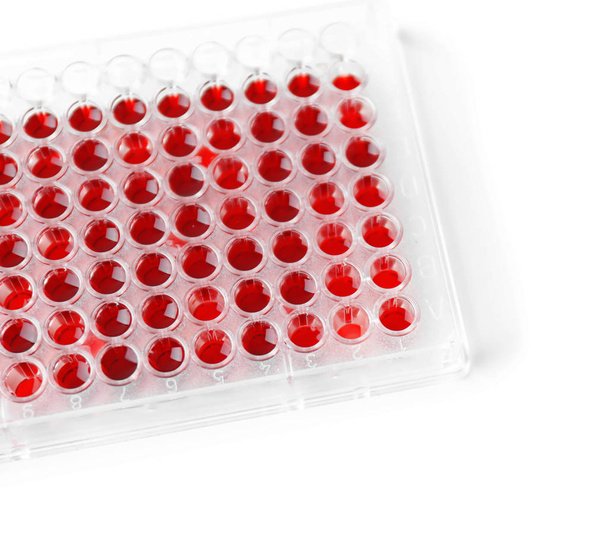 Test tubes with blood samples in holder on white background - Photo, Image