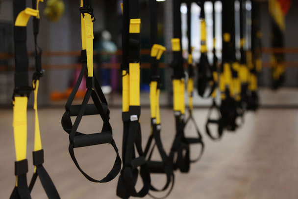 TRX straps in modern gym - Photo, Image
