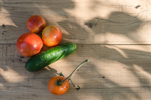 Ogórki i pomidory, znajdujące się na deski dębowe w cieniu l - Zdjęcie, obraz