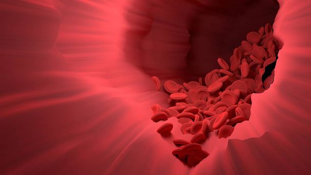 rote Blutkörperchen im Blutgefäß des Körpers. Wissenschaftsgrafik für edu - Foto, Bild