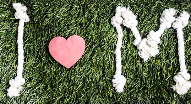 Testo: Amo M fatto da corde su sfondo erba
. - Foto, immagini