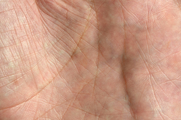 Zblízka kůže lidská ruka s viditelné kožní textury a čáry - Fotografie, Obrázek