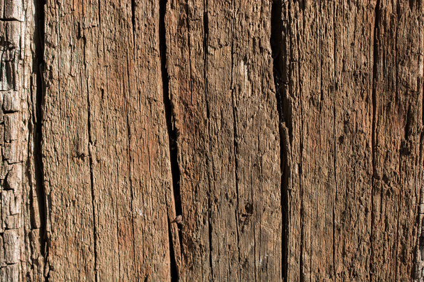 Texture bois avec motifs naturels - Photo, image