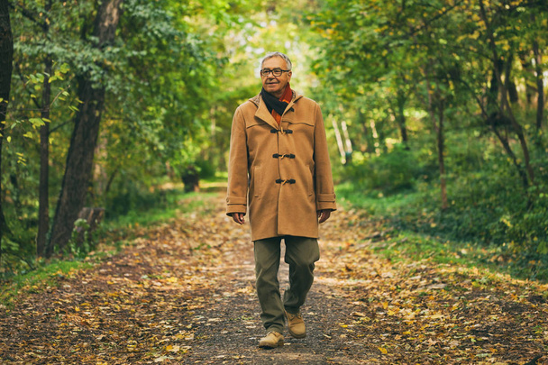 Feliz hombre mayor caminando en el parque en otoño
.  - Foto, imagen