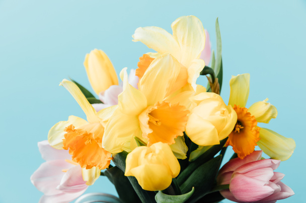 close up view of beautiful tulips and daffodils isolated on blue - Foto, Imagem