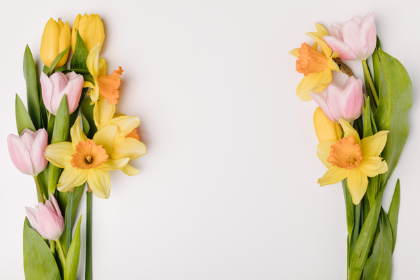 flache Lage mit arrangierten schönen Tulpen und Narzissenblüten isoliert auf weiß - Foto, Bild