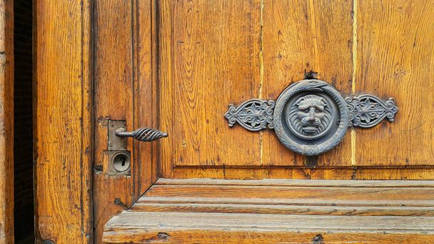 Vintage door with handle, keyhole and decorative lion head and s - Foto, Imagen