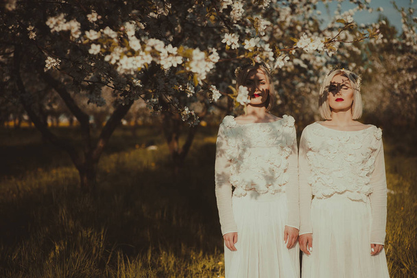two gorgeous twin sisters in a cherry orchard - Фото, зображення