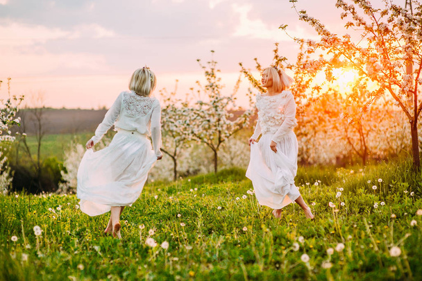 two gorgeous twin sisters in a cherry orchard - Foto, Imagen