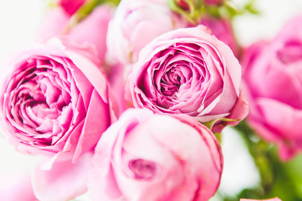 ярко-розовый букет роз
 - Фото, изображение