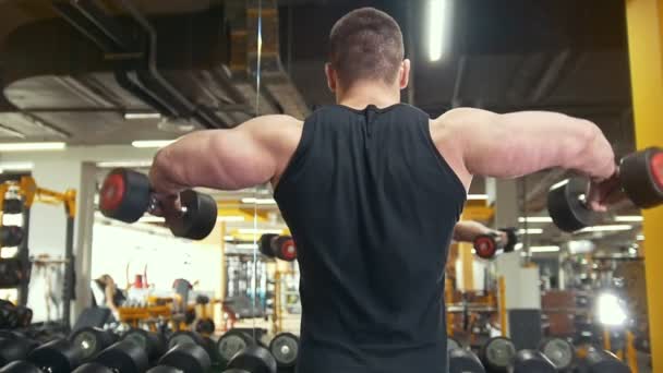 Achterkant van atletische man liften een halters in een kamer training - Video