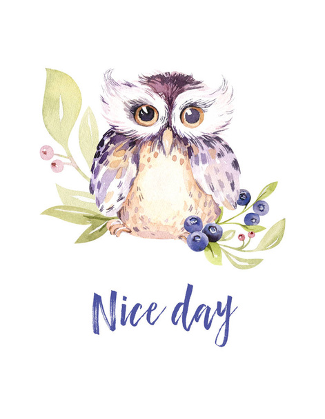 cute cartoon watercolor drawing of owl, illustration  - Photo, image