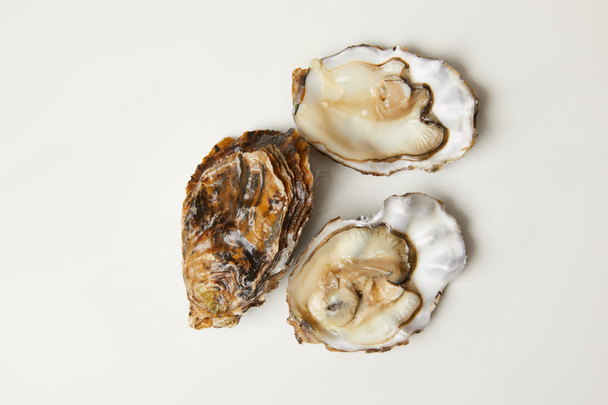 Open fresh oyster clams isolated on white - Foto, afbeelding