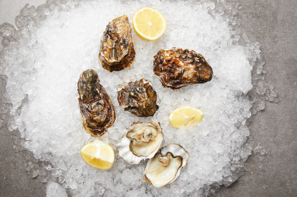 Cooled oysters served with lemons on ice - Φωτογραφία, εικόνα